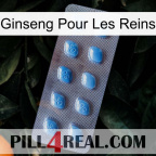 Ginseng For Kidney viagra3